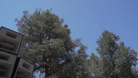 Handheld shot of massive speaker system at outdoor music festival, San Diego Stock Footage 121710634