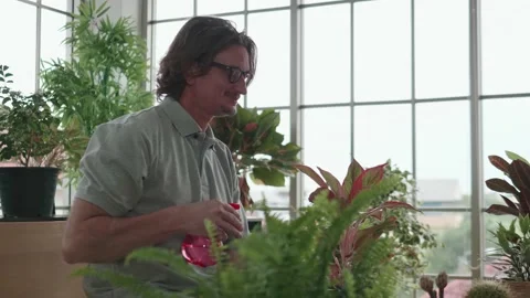 A handheld shot of a middle-aged man is planting trees in the living room. Stock Footage 140033864