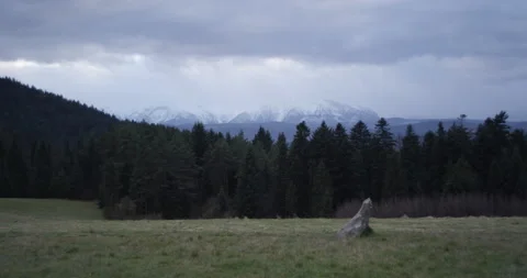 Handheld shot of mountain landscape Stock Footage 147634017