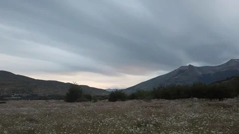 Handheld shot moving over flower meadow in mountain valley, Patagonia, Chile Stock Footage 137964675