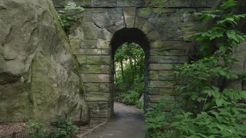 Handheld shot of a pedestrian walkway in Central Park Stock Footage 279095923
