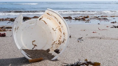 Handheld shot of person picking up broken plastic cup from polluted beach, Bali Stock Footage 140250072