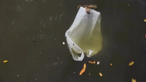 Handheld shot of plastic bag floating in muddy waters of Guanabara bay, Brazil Stock Footage 123736961