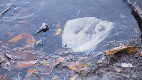 Handheld shot of plastic bag floating in muddy waters of Guanabara bay, Brazil Vidéo 123737122
