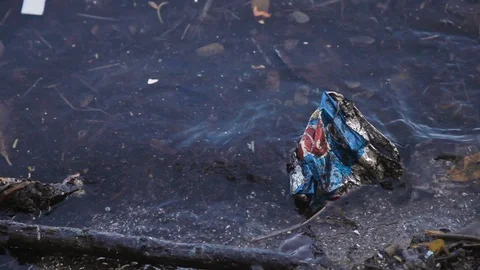 Handheld shot of plastic bag floating in dirty waters of Guanabara bay, Brazil Vidéo 123737146