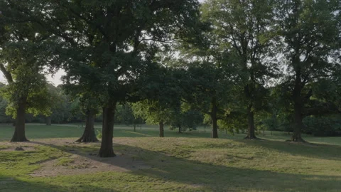 Handheld shot of Prospect Park Stock Footage 278502940