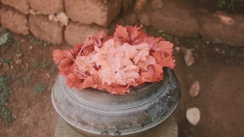 Handheld shot of red flowers in a decorative bowl Stock Footage 102628792
