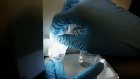 A handheld shot of a researcher checking a DNA sequencer a genetic laboratory at Stock Footage 97738733