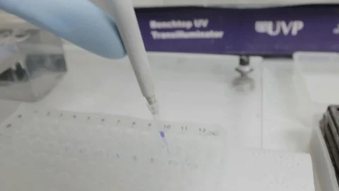 A handheld shot of a researcher pipetting samples to a eletrophoresis gel in a g Stock Footage 97753369