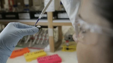 A handheld shot of a researcher transfering samples to smaller vials in a geneti Stock Footage 97758445