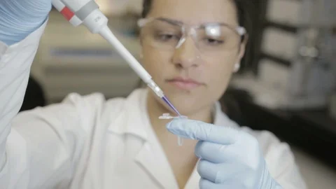 A handheld shot of a researcher transfering samples to smaller vials in a geneti Stock Footage 97758803
