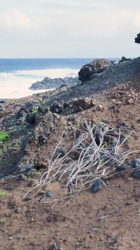 Handheld shot revealing a dramatic volcanic shoreline Vidéo 329866169