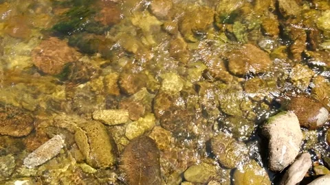 Handheld shot of river rapids and colorful stones in the shallow water Stock Footage 157479019