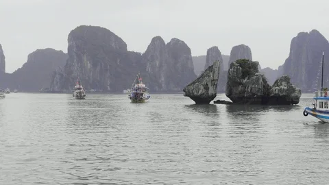 Handheld shot of rusty ship approaching cruise ships floating close to hills Stock Footage 147360084