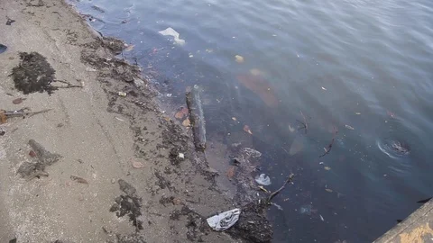 Handheld shot of sea and beach polluted with garbage, Guanabara bay, Brazil Vidéo 123736977