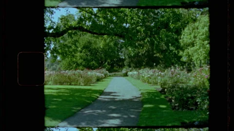 Handheld shot of serene park during warm spring afternoon shot on vintage camera Stock Footage 208759149