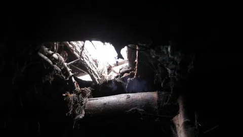 Handheld shot of skylight Stock Footage 73744701