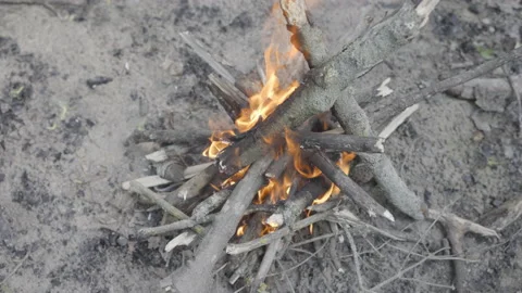 Handheld shot of a small camp fire in the woods Stock Footage 164256556