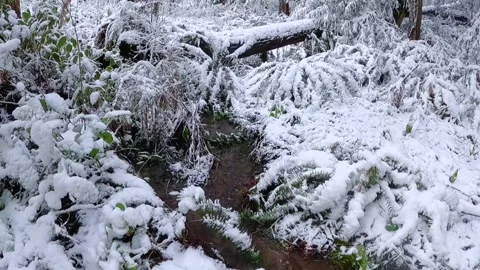 Handheld shot of snowy stream Vídeo Stock 250676257