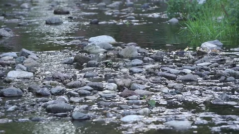 Handheld shot of a stream flowing between stones (ungraded) Stock Footage 120720467