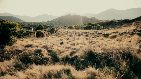 Handheld shot of sunlight falling on grassland of mountain Vídeo Stock 122511549