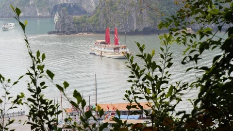 Handheld shot through bushes of large cruise ship with red sails at ha long bay Stock-Footage 147357139