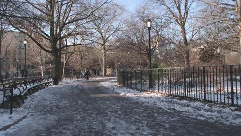 Handheld shot of Tompkins Square Park on a winter morning Video stock 327343286