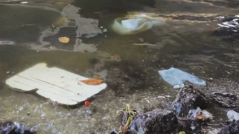 Handheld shot of trash floating in muddy waters of Guanabara bay, Brazil Vidéo 123737094