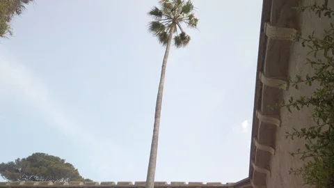 Handheld shot of tree and building against sky Stock Footage 120154085