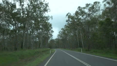 Handheld shot van driving through a forest after rain, humid and overcast day Stock Footage 132169079