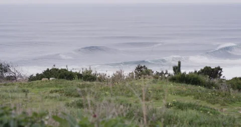 Handheld shot of wild ocean waves splashing and moving around in slow motion Stock Footage 163057481