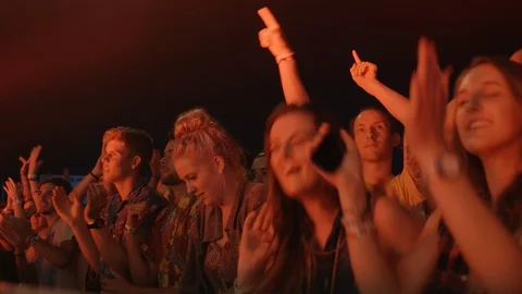Handheld shot of young crowd at a Music Festival - Victoria Australia Stock Footage 87879040