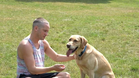 Handheld shot of young man caressing his pet dog in the park 스톡 동영상 114849987