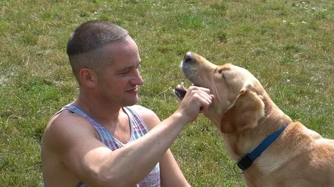 Handheld shot of young man playing with pet dog in the park Stock Footage 114849993