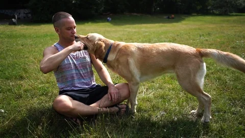 Handheld shot of young man playing with dog in public park in slow motion Stock Footage 114884182