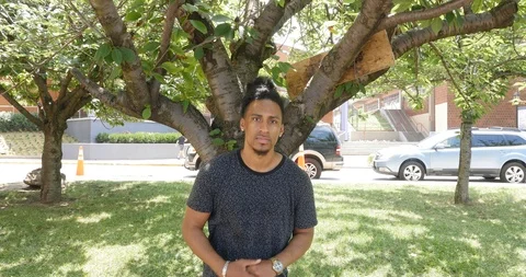 Handheld shot of young man standing under tree in the park Stock Footage 120147112
