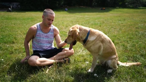 Handheld shot of young man teaching obedience to dog in park in slow motion Video stock 114884188