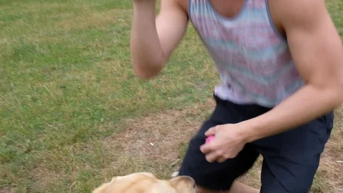 Handheld shot of young man training his dog in park 스톡 동영상 120424841