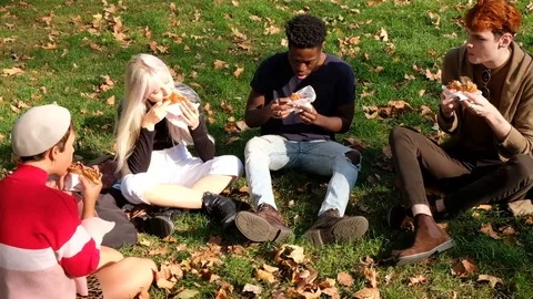Handheld shot of young men and women eating sandwich while sitting in park 스톡 동영상 120429809