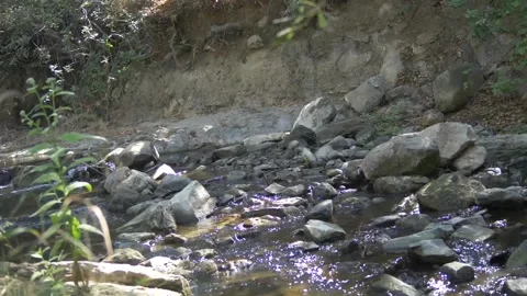 Handheld Static Shot of a Creek with Multiple Rocks Stock Footage 217493860