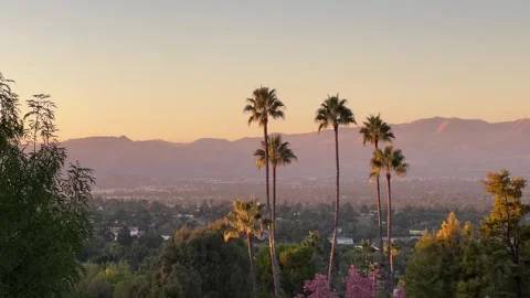 Handheld static view of classic Los Angeles sunset with palm trees Stock Footage 285689588