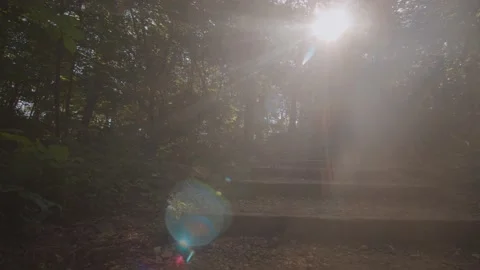Handheld Sun Flare Shot in the Forest Vídeos de archivo 138715757