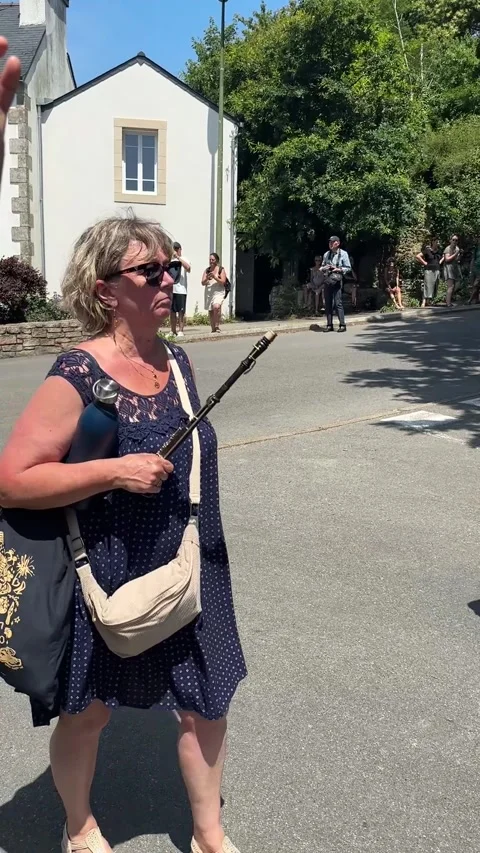Handheld Sunny Day Breton Fest-Noz Parade Drums Horse Carriage Brittany France Stock-Footage 338106900