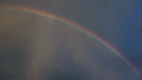 Handheld Sunset Rainbow with Bird Flying Across Dramatic US Sky Stock Footage 342301918
