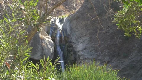Handheld Tilt of a Waterfall Through Trees in California Stock Footage 217493743