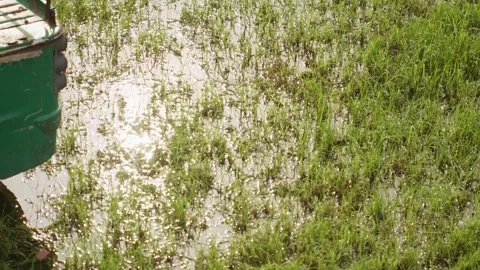 A handheld top angle long shot of a puddle of water in a grass field Stock Footage 289631923