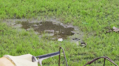 A handheld top angle long shot of a puddle of water in a grass field Stock Footage 289633373