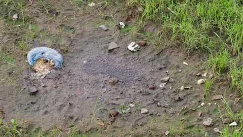 A handheld top angle long shot of a puddle of water in a grass Stock Footage 289633379
