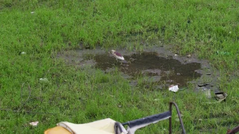 A handheld top angle long shot of a puddle of water Stock Footage 289633654