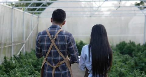 Handheld tracking shot, Back view of Handsome man holding laptop computer  Stock-Footage 227474978